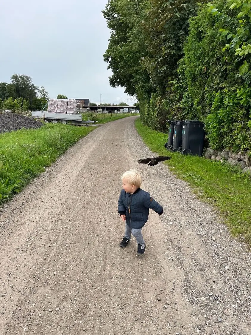 Otto with Russell the crow, whom the family has nursed back to health. (Courtesy of Laerke Luna)