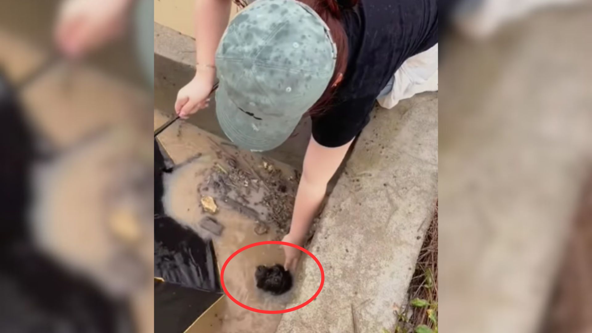 Kind Woman Sees A Dog Drowning In A Canal And Rushes To Save Him