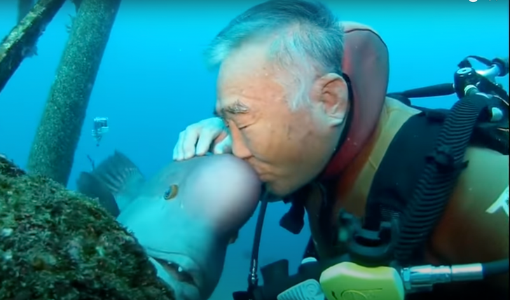 79-Year-old Diver and This Fish Have Been BFFs for Nearly 30 Years After He Nursed Her Back to Health