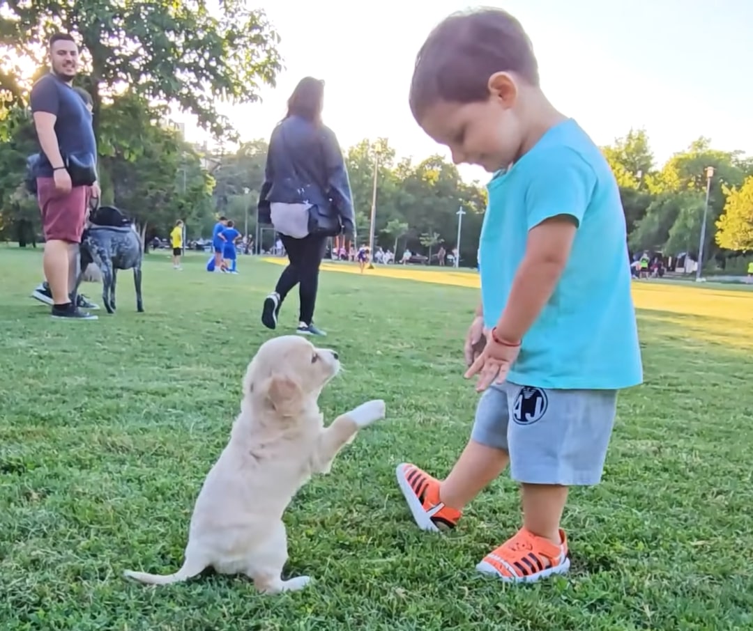 little boy and puppy