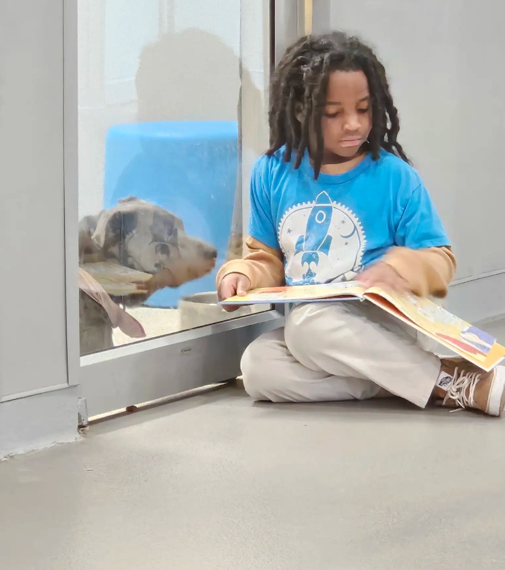 little boy reading a book to dog behind the glass