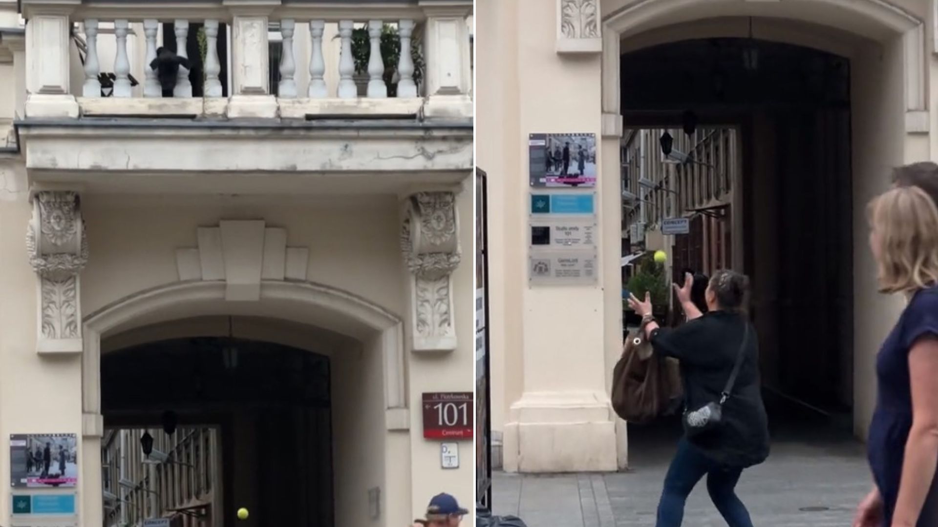 Lively Doggo Plays Fetch From The Balcony With A Hoomans Passing-By Below