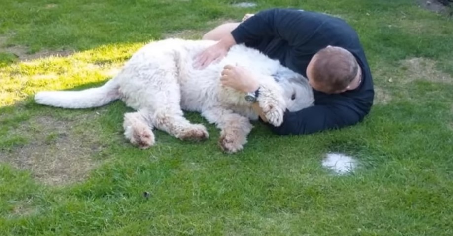 man and dog laying on the ground