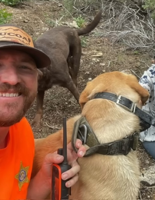 man and two dogs