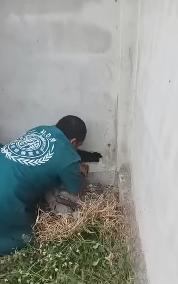 man helping puppy