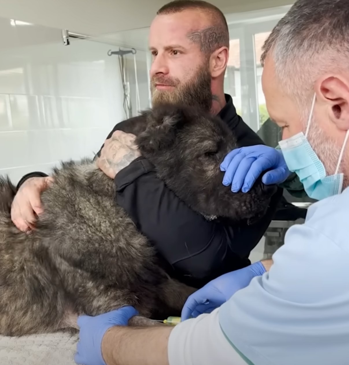 man holding a dog at veterinarian