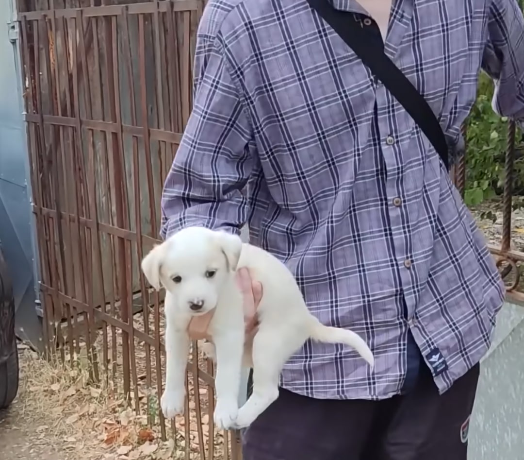 man holding the puppy