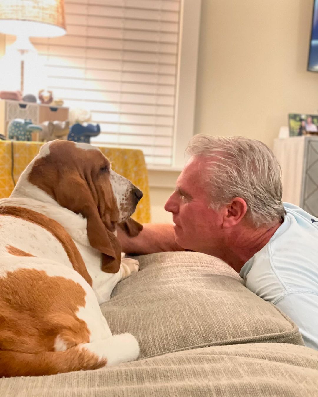 man looking at dog lying on the couch