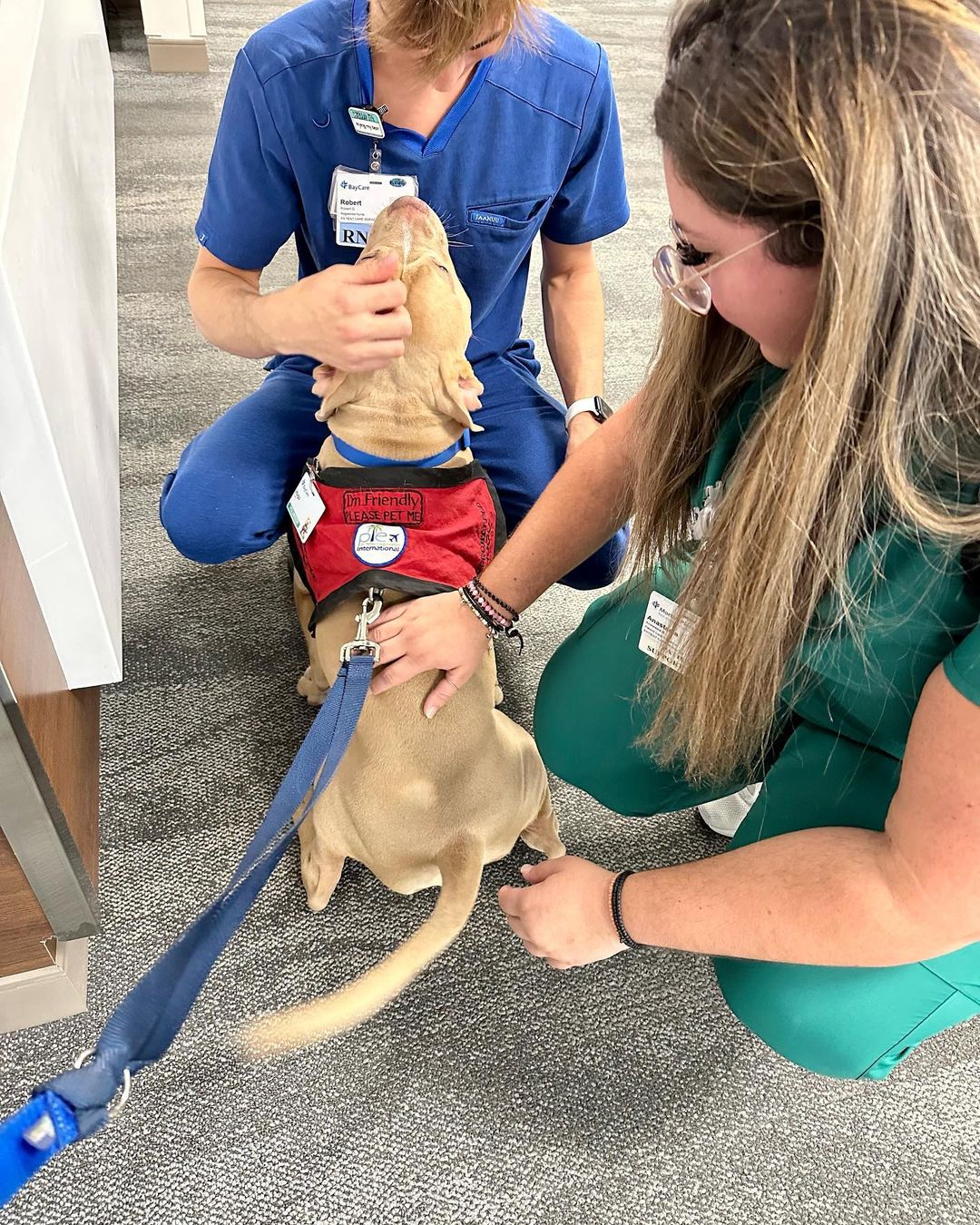 medical staff with dog