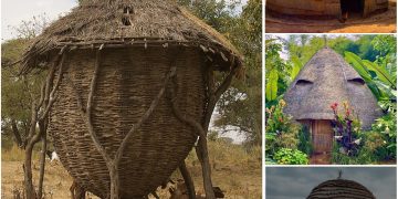 Vernacular Architecture of Traditional African Village Huts