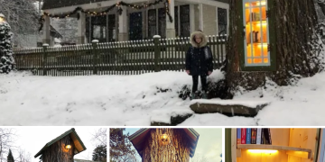 Woman Turned 110-Year-Old Dead Tree Into A Free Little Library For The Neighborhood And It Looks Magical