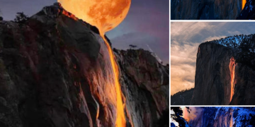 Once a year! Witness the breathtaking transformation of the waterfalls at Yosemite National Park.