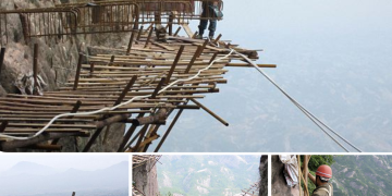 World’s scariest job? Meet the workers building a 3ft-wide wooden road on a vertical cliff face