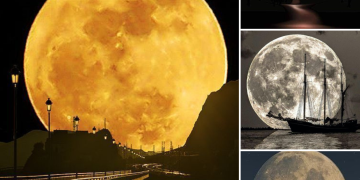 Exploring the Captivating Splendor of the Super Moon