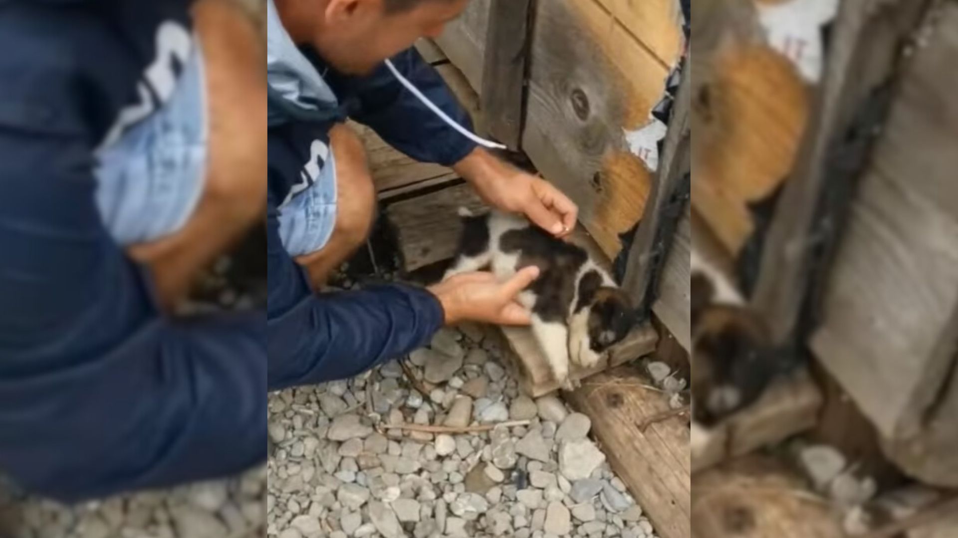 Rescuers Check Out A Construction Site, What They Find There Shocks Them To The Bone