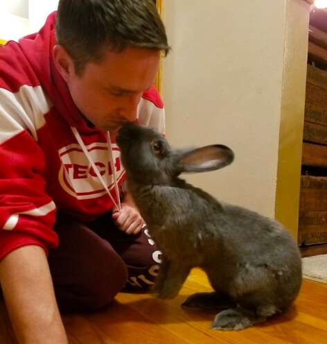 rabbit rescue therapy baby