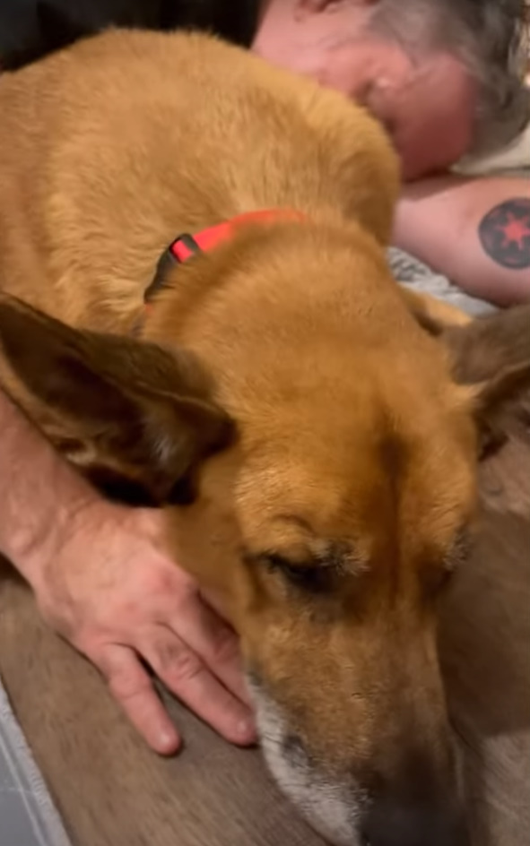 senior man cuddling with dog