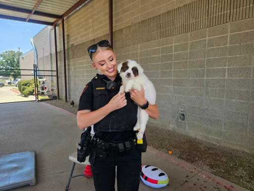 smiling police officer posing with puppy