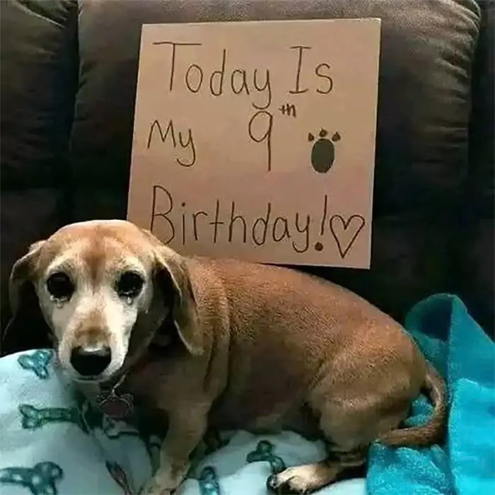 Today is my birthday, I just wish I had a complete family