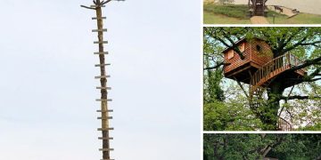 Exploring the World’s Most Exceptional Tree Houses