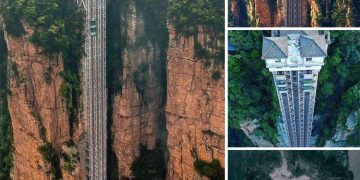 Elevate Your Adventure: Step Inside the World’s Tallest Outdoor Glass Elevator