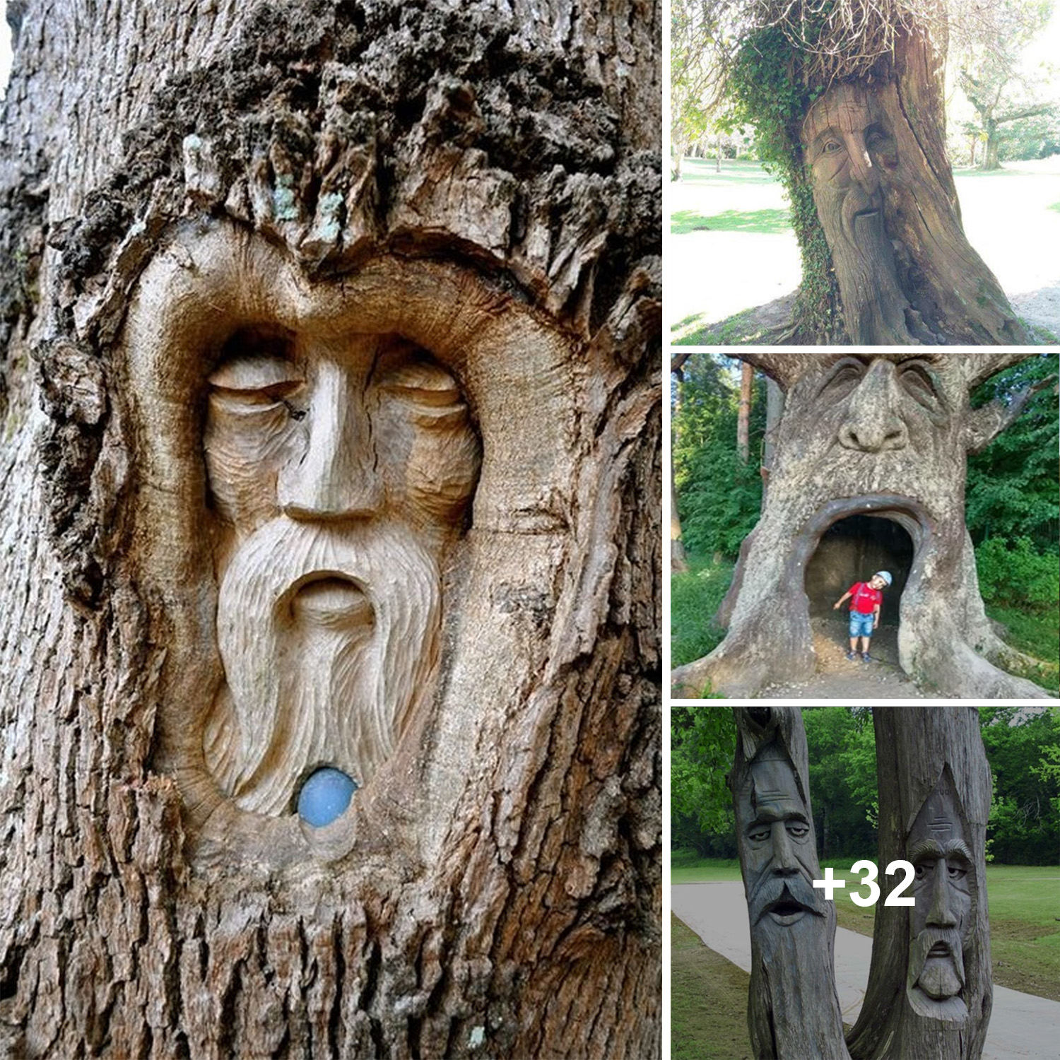 The Mysterious Charm: Decoding the Humanoid Forms of Ancient Trees