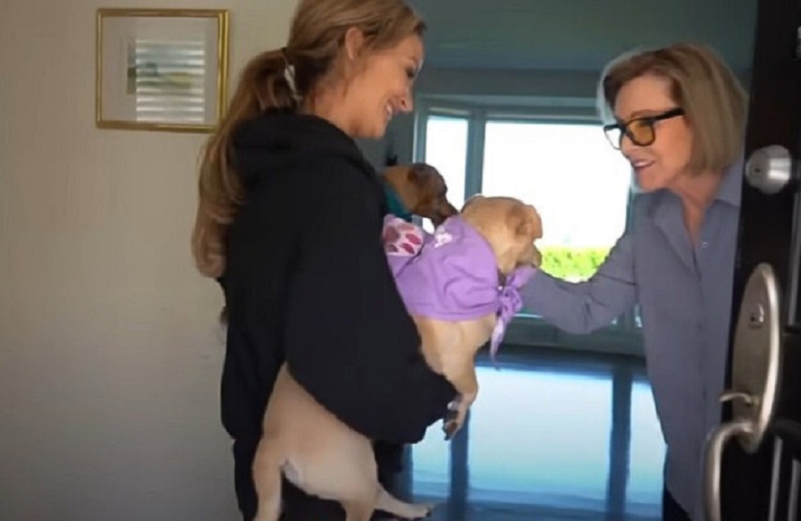 the girl is holding two puppies in her arms