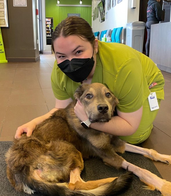 the veterinarian hugs the dog in the hallway