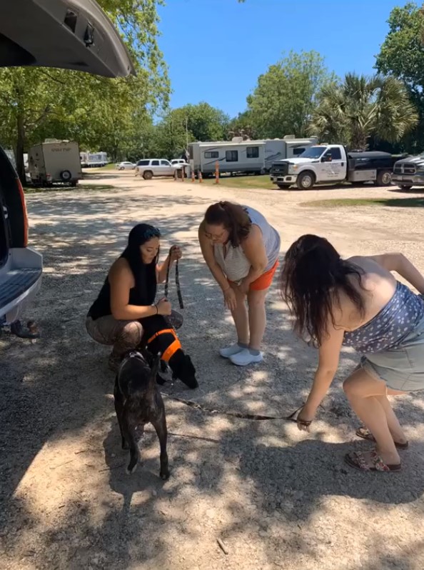 three woman and puppies outdoors