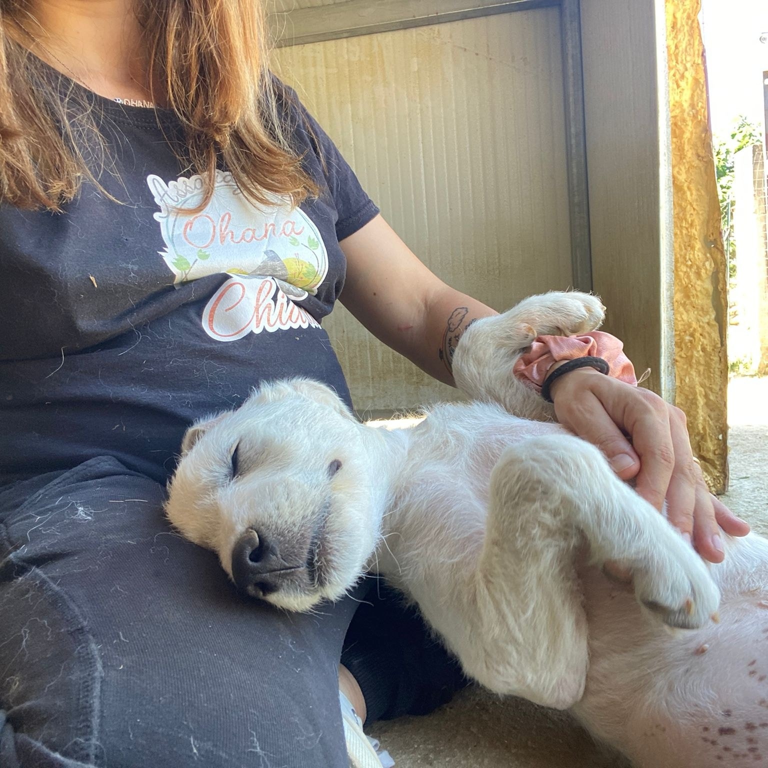 woman dragging puppy