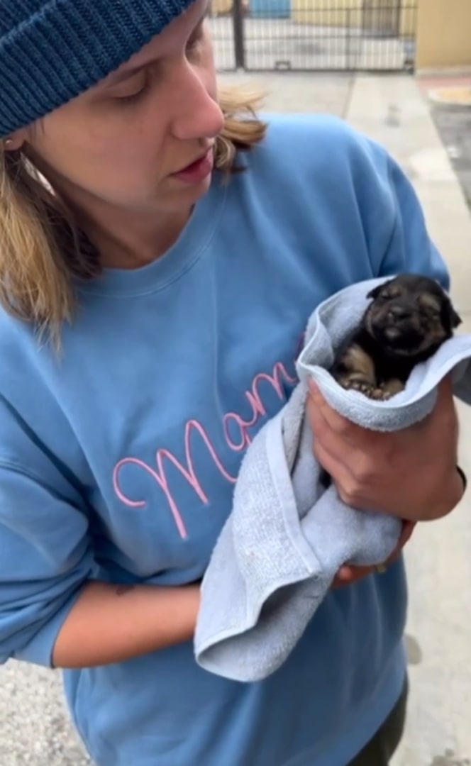 woman holding a tiny sick puppy