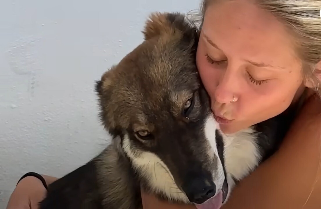 woman hugging the dog