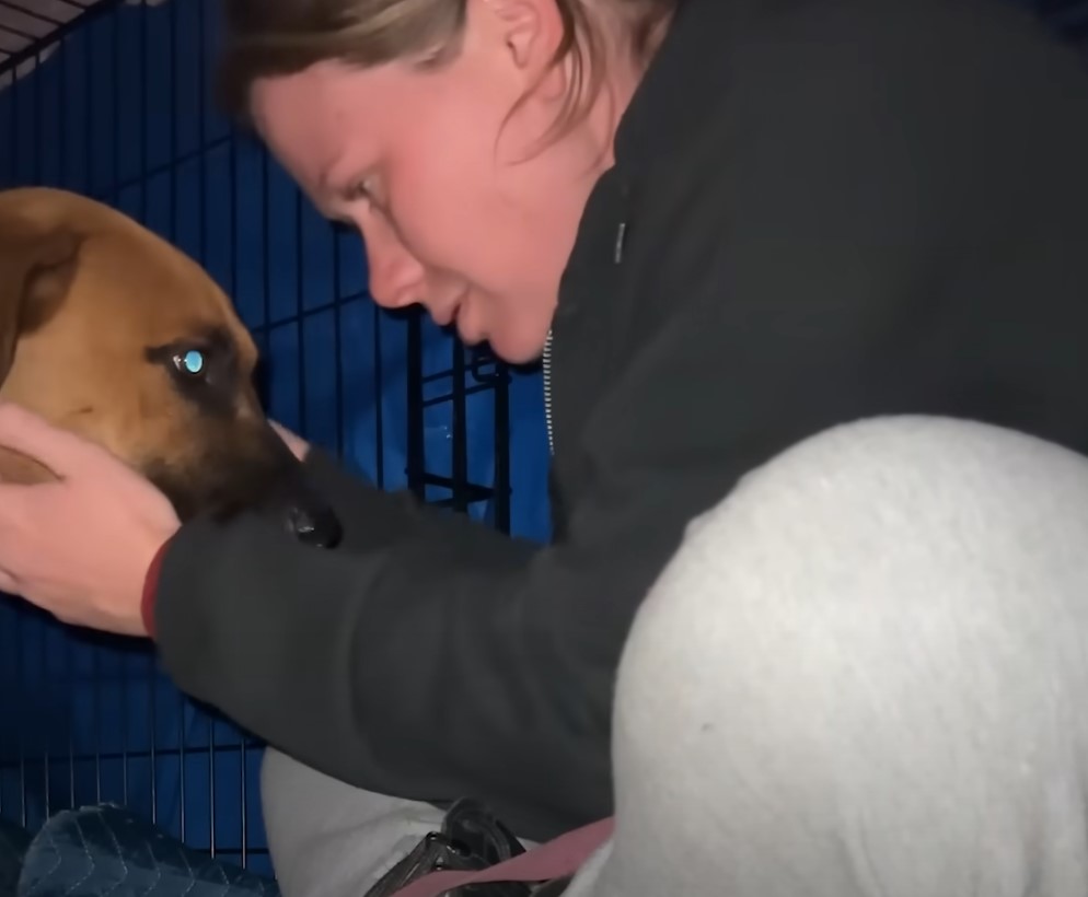 woman petting the dog