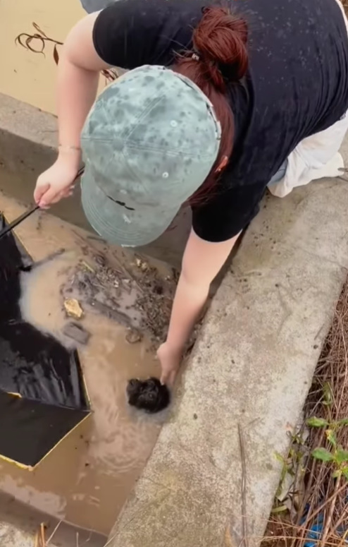 woman rescuing drowning dog