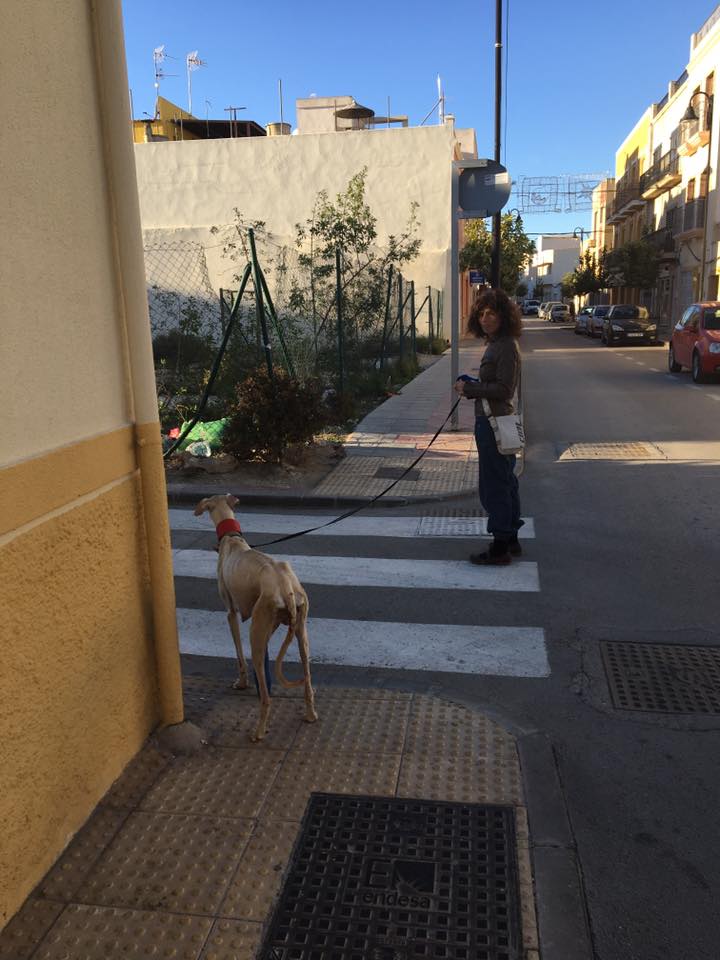 woman walking a dog