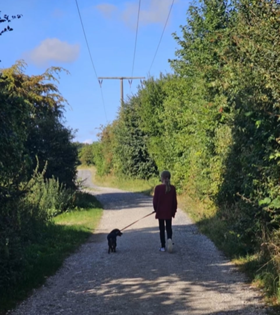 woman walking the dog