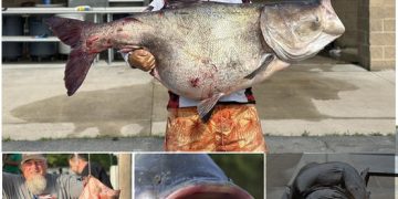 Angler snares ‘alien fish’ with 11million eggs inside ready to unleash ‘catastrophe’