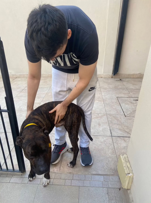 young man holds a dog outdoor