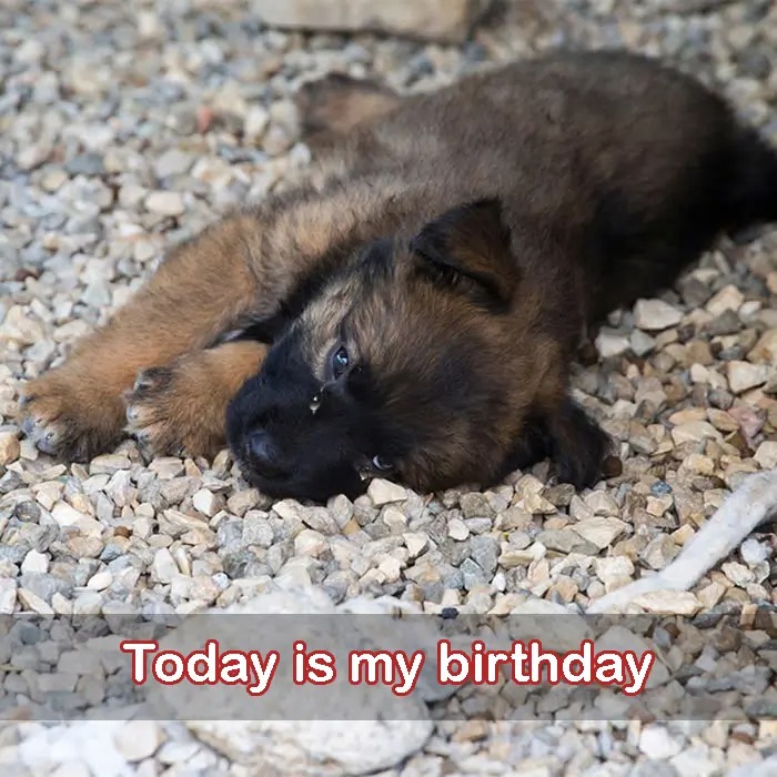 Today is my birthday but also the day I was abandoned