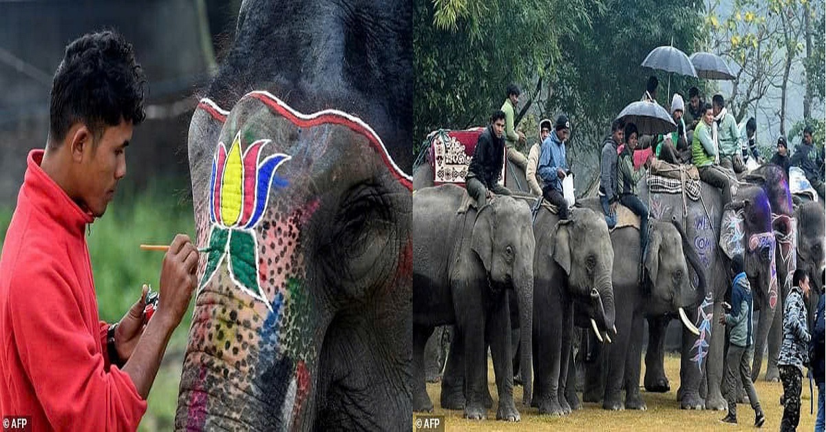 Nepal’s Elephant Festival is under scrutiny due to beauty contests and allegations of abuse