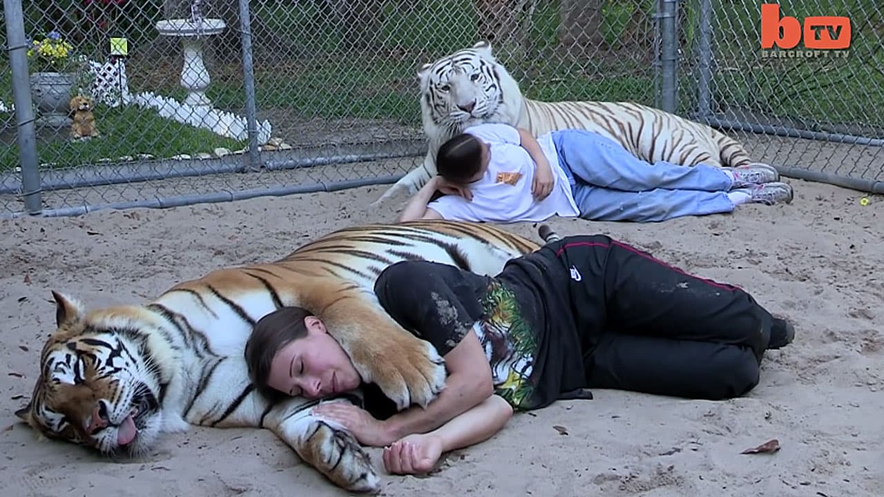 Florida Woman Houses Bengal Tigers in Her Backyard (Video)